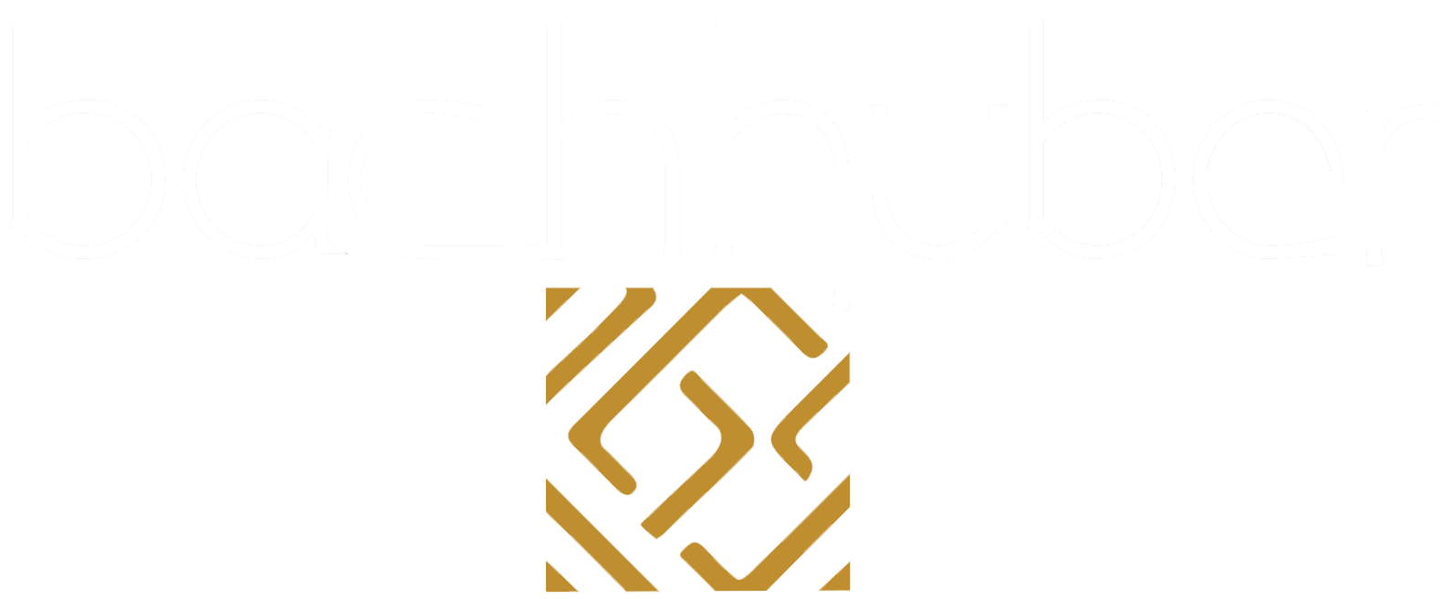 Logo Bachhuber GmbH & Co KG